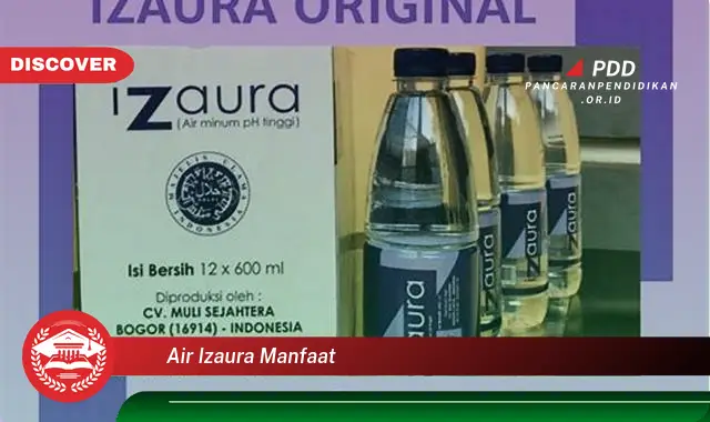 air izaura manfaat