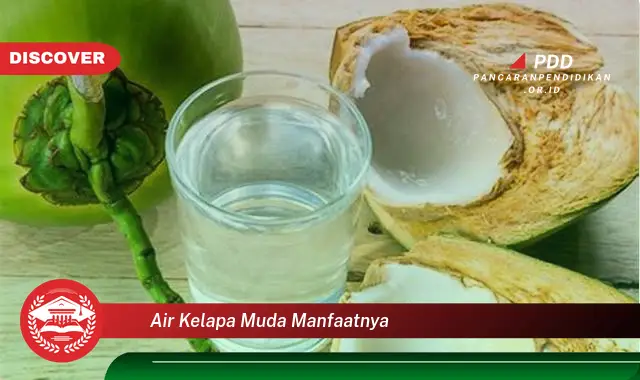 air kelapa muda manfaatnya