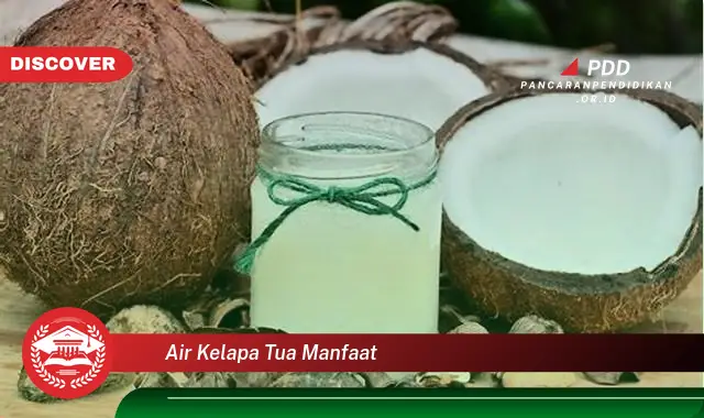 air kelapa tua manfaat