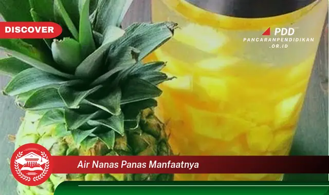 air nanas panas manfaatnya