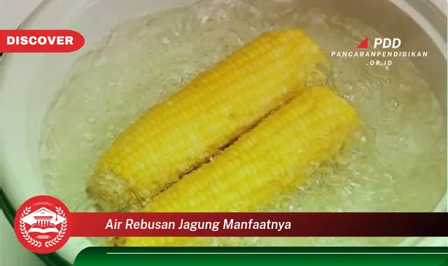 Jarang Diketahui, Inilah 30 Manfaat Air Rebusan Jagung yang Bikin Penasaran