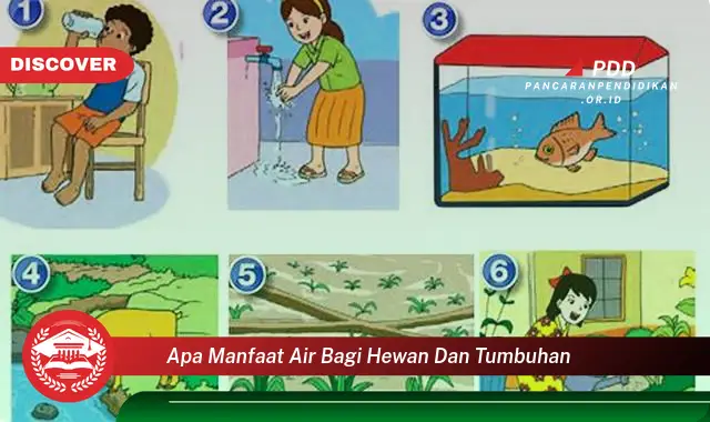 apa manfaat air bagi hewan dan tumbuhan