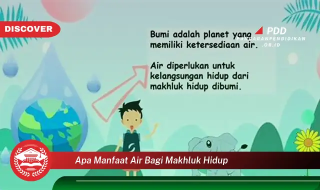 apa manfaat air bagi makhluk hidup