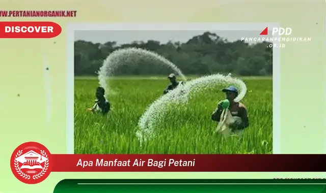 apa manfaat air bagi petani