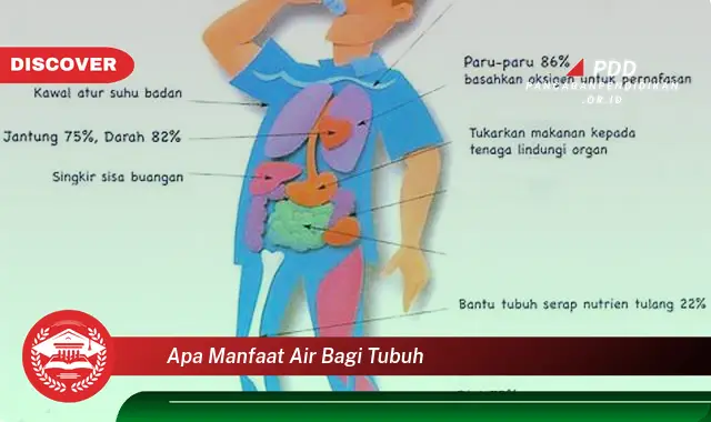 apa manfaat air bagi tubuh