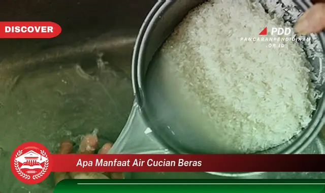 apa manfaat air cucian beras