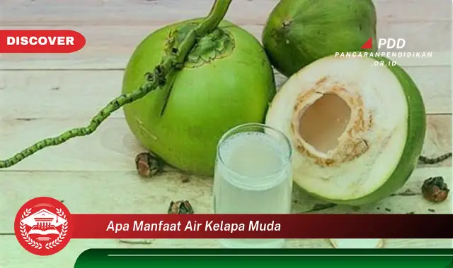 apa manfaat air kelapa muda