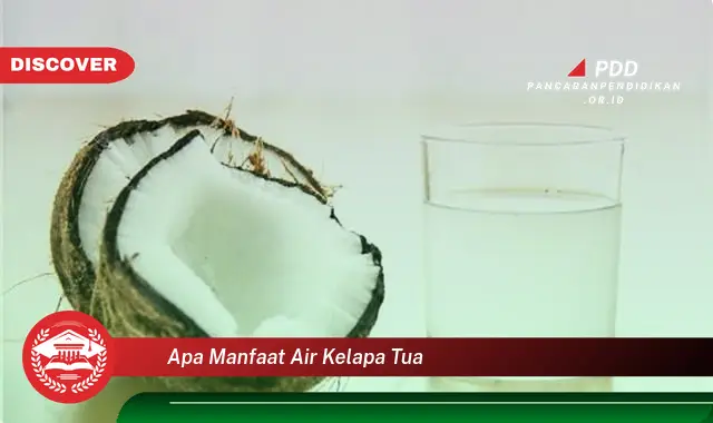 apa manfaat air kelapa tua