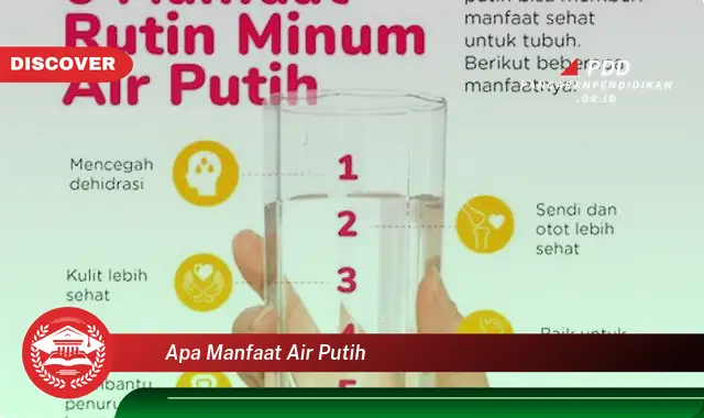 apa manfaat air putih