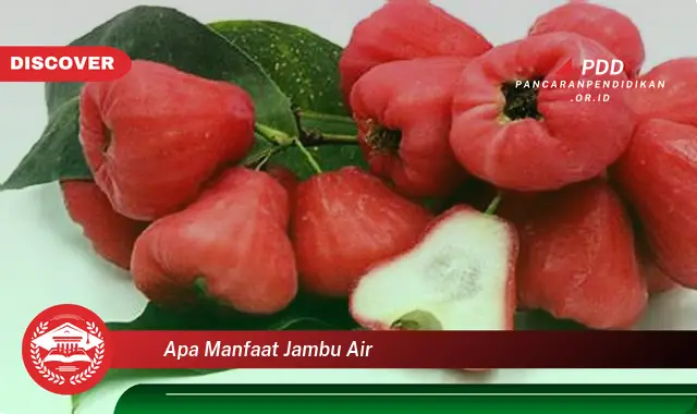 apa manfaat jambu air