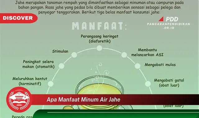 apa manfaat minum air jahe