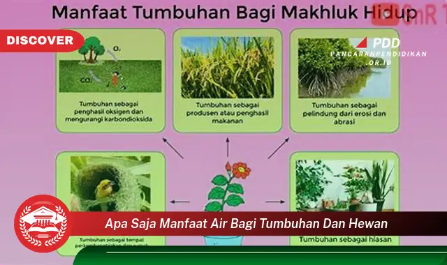 apa saja manfaat air bagi tumbuhan dan hewan