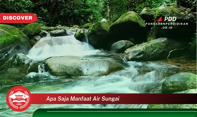 apa saja manfaat air sungai