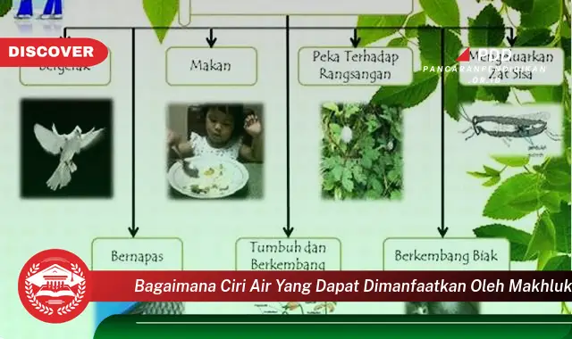 bagaimana ciri air yang dapat dimanfaatkan oleh makhluk hidup