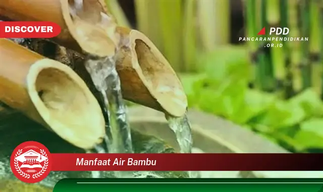 manfaat air bambu