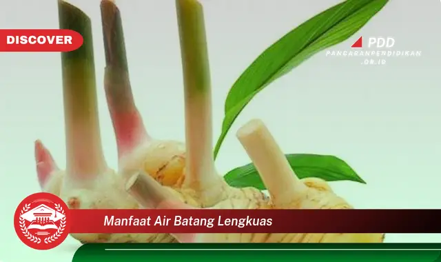 manfaat air batang lengkuas