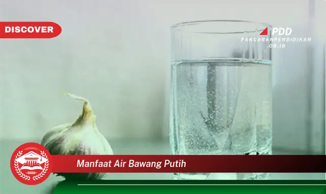 10 Manfaat Air Bawang Putih yang Jarang Diketahui