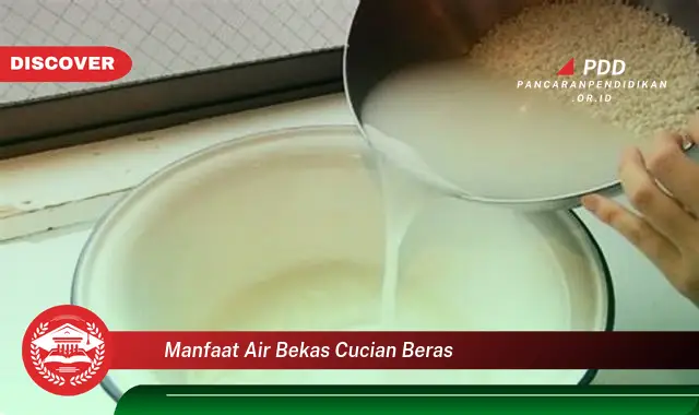 manfaat air bekas cucian beras