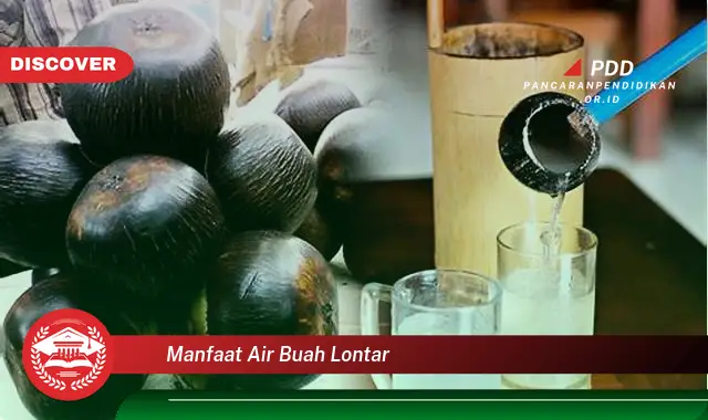 manfaat air buah lontar