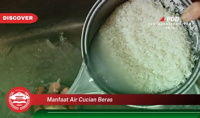 manfaat air cucian beras