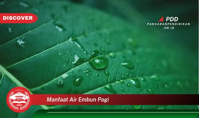 manfaat air embun pagi