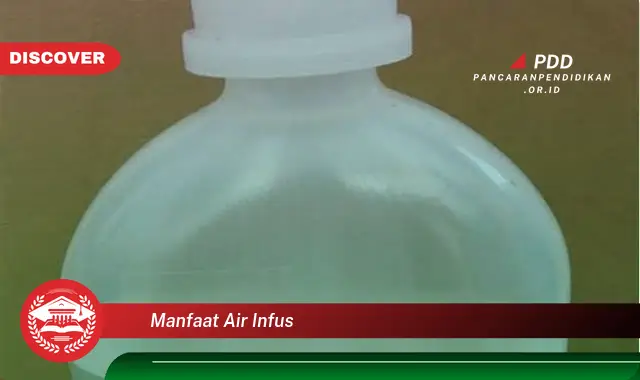 manfaat air infus