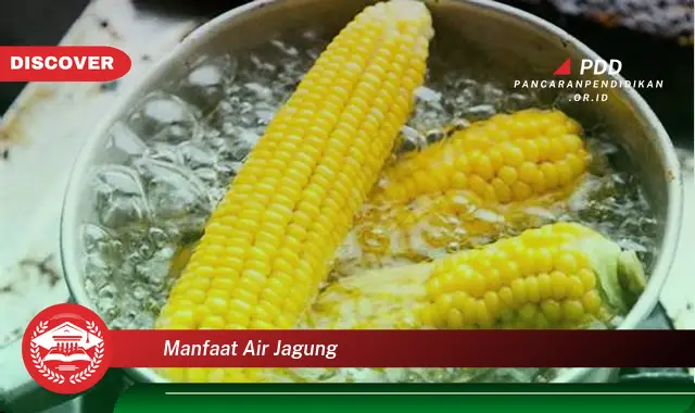 manfaat air jagung