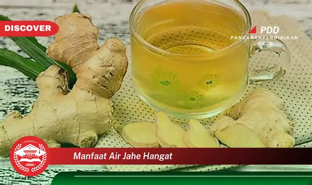 manfaat air jahe hangat