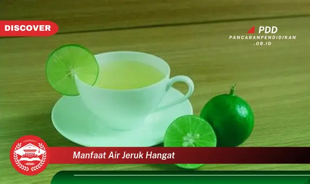 manfaat air jeruk hangat