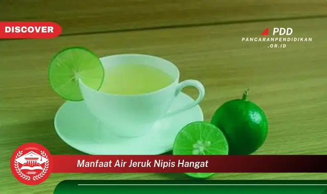 manfaat air jeruk nipis hangat