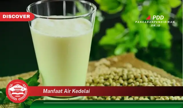 manfaat air kedelai