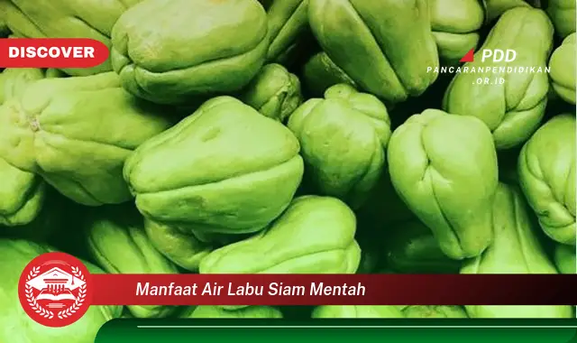 manfaat air labu siam mentah