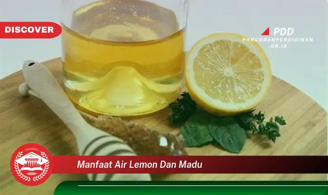 manfaat air lemon dan madu