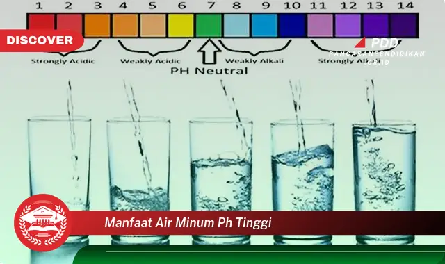 manfaat air minum ph tinggi