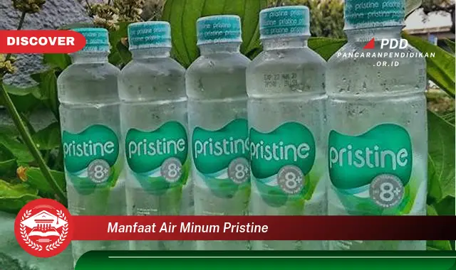 manfaat air minum pristine