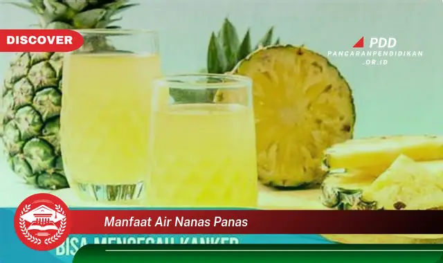 manfaat air nanas panas