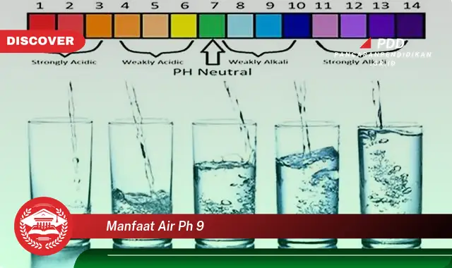 manfaat air ph 9