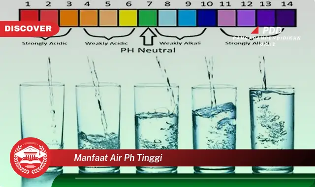 manfaat air ph tinggi