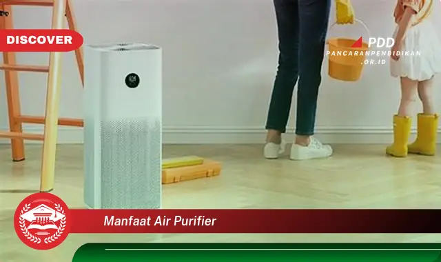 manfaat air purifier