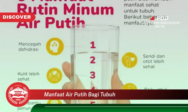 manfaat air putih bagi tubuh