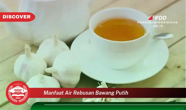 manfaat air rebusan bawang putih