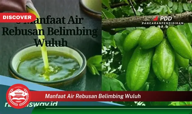 manfaat air rebusan belimbing wuluh