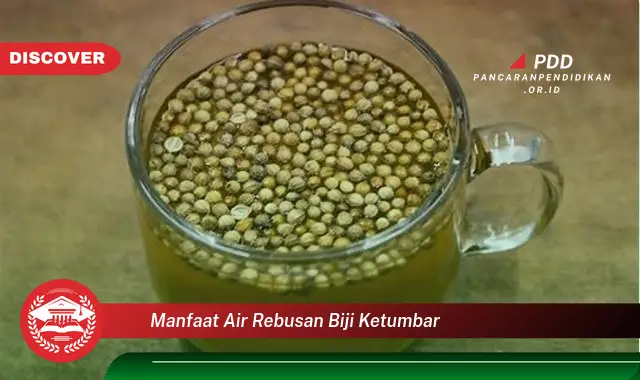 Intip 10 Manfaat Air Rebusan Biji Ketumbar yang Bikin Kamu Penasaran