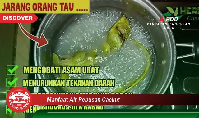 manfaat air rebusan cacing