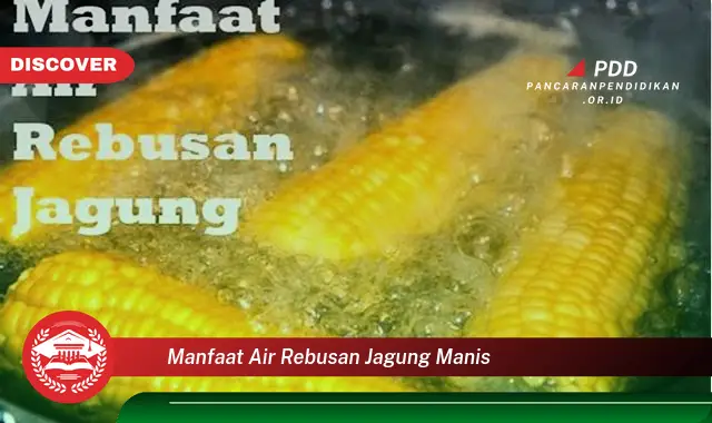 manfaat air rebusan jagung manis