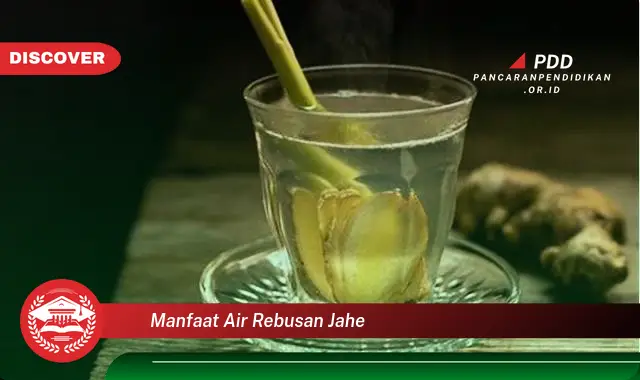 manfaat air rebusan jahe