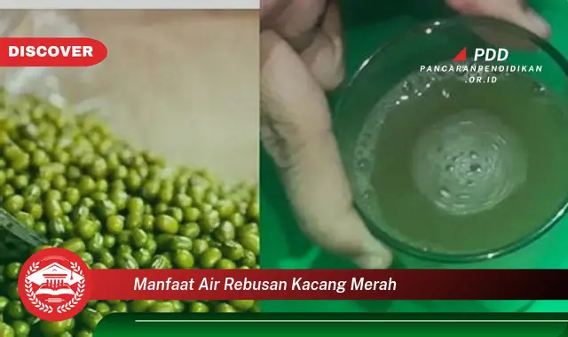 manfaat air rebusan kacang merah