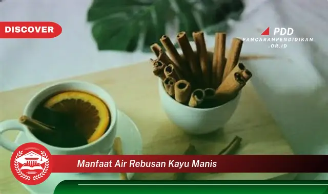 manfaat air rebusan kayu manis