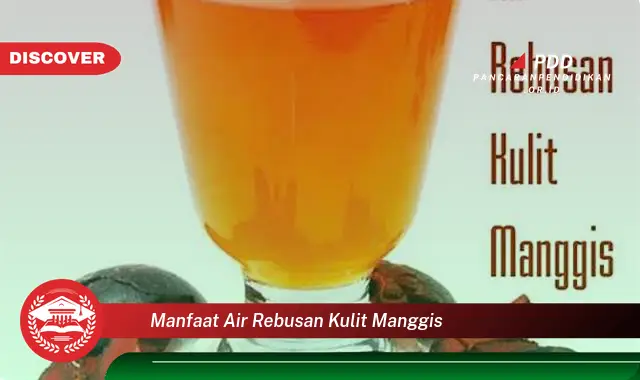 manfaat air rebusan kulit manggis