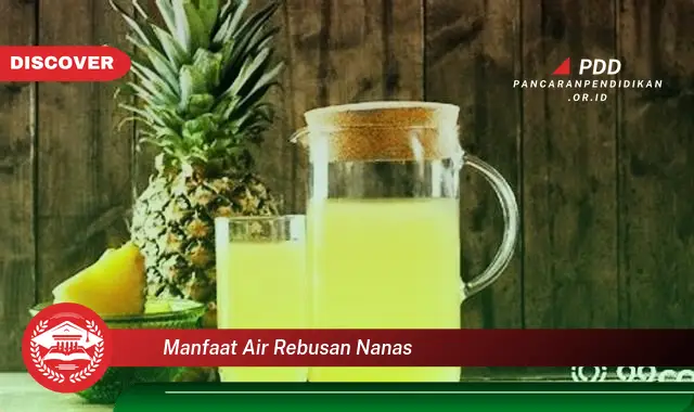 manfaat air rebusan nanas